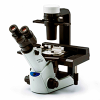 Inverted Culture Microscope CKX 53