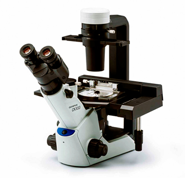 Inverted Culture Microscope